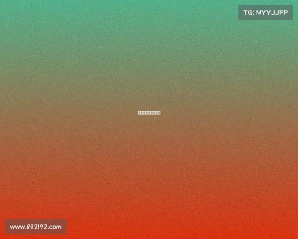 澳门今天有什么活动